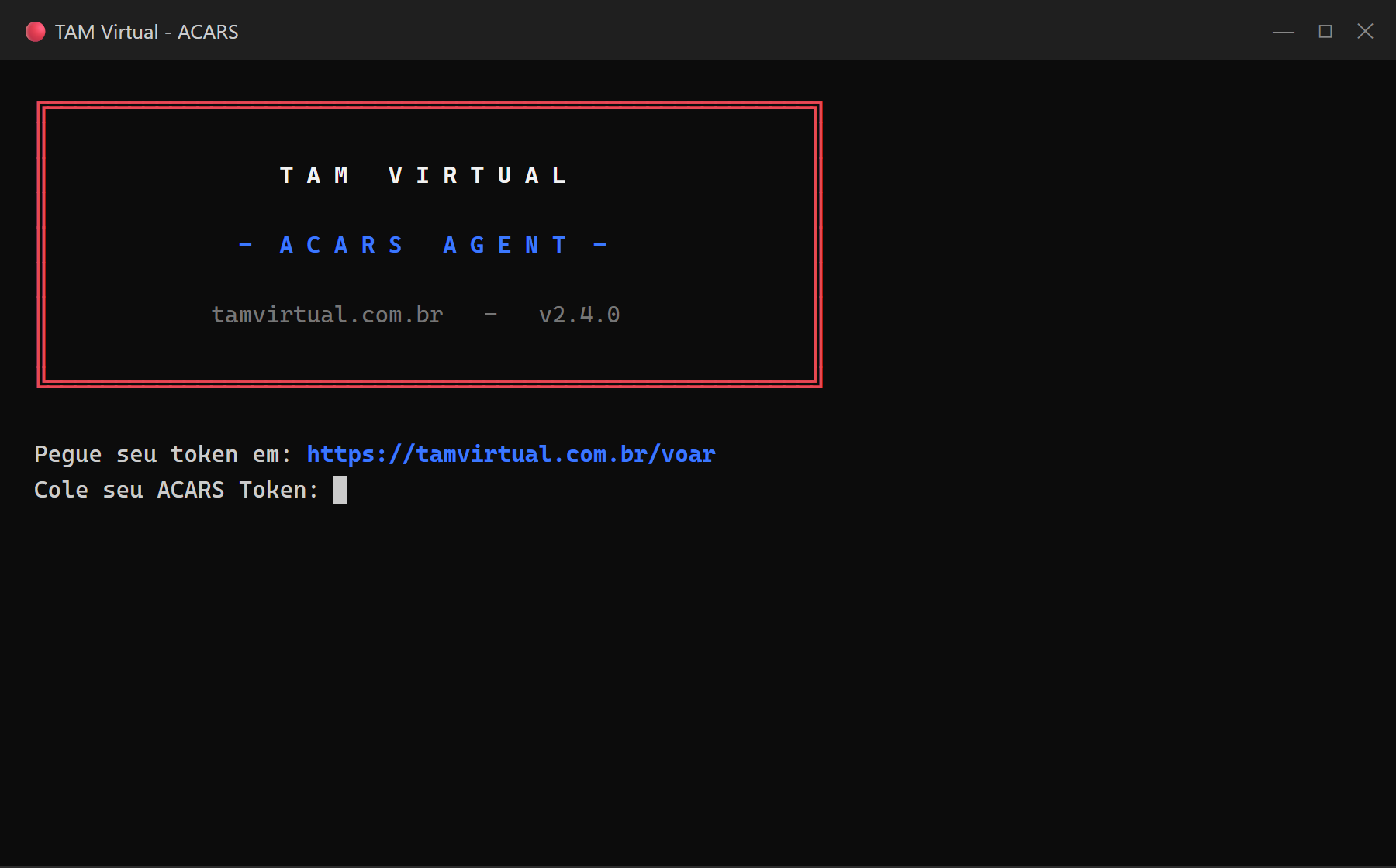 Console do TAM ACARS pedindo o token